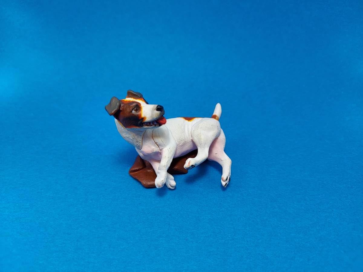 Amazon.co.jp: ジャックラッセルテリア トライカラーチョコQ アニマ