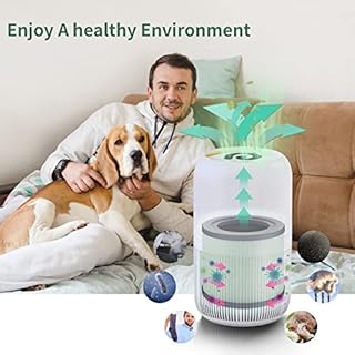 CPGSY TR-8080 HEPA Replacement Filter, 4 Stage HEPA Filtration Systems, Compatible with Dreamegg Purifier 1|2 Pack. (LightGreen, 2 Pack)