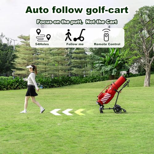 Icango Caddy G3 Electric Golf Cart