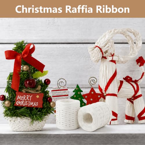 Image of BEVTEE 436 Yards Raffia Yarn for Crochet, Ribbons for Crafts, White