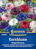 Kiepenkerl Kornblumensamen Midget Mischung 1062660 - Blumensamen für Garten, Hochbeet und Töpfe mit einer Wuchshöhe von 20 bis 30 cm - Pflanzen, Saatgut
