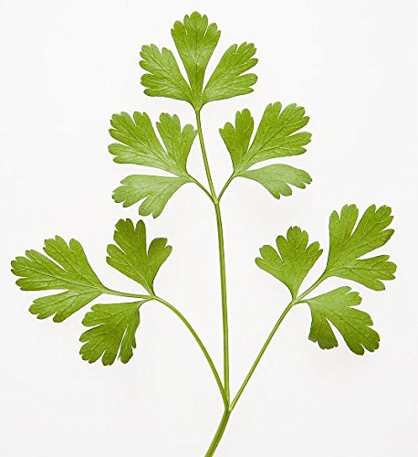 Amazon.co.jp: 国内産 S&B イタリアンパセリ 1パック 15g : Food