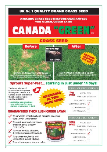 Canada Green 500g Grass Seed - Fast-Growing, Hard-Wearing Lawn Seed - Ideal for Shady Areas, Patch Repair, Reseeding & New Lawns - Image 2