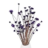 El ramo de flores secas de margaritas incluye 2 ramos de flores secas, cada uno con aproximadamente 30 flores secas, la longitud de las ramas de flores es de aproximadamente 30-40 cm, puede cortar la longitud de las ramas de flores según sea necesario