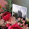 Greeting Cards - Salt Lake Temple of The Church of Jesus Christ of Latter-Day Saints - 12 Pack - Utah #2
