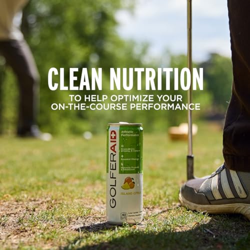 Image of GOLFERAID Performance Blend, Up Your Golf Game, No Caffeine, Glucosamine, Turmeric, MSM, CoQ10, B-Complex, BCAAs and Electrolytes, 40 Calories, 100% Clean, Paleo, Vegan, 12-oz. cans (Pack of 24)