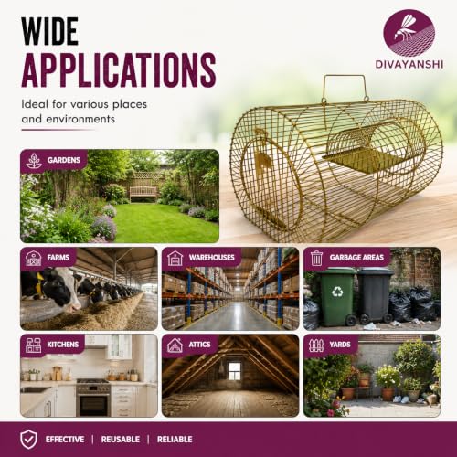 Image of Divayanshi Heavy Duty Rat & Mouse Trap Cage | Strong Iron Wire Pinjara for Catching Small & Large Rats | Safe Reusable Chuha Trap for Home, Warehouse, Food Units & Hotels