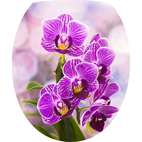 Sticker WC Orchidée PPA DESIGN Cover