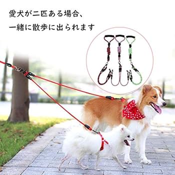 【期間限定セール】2頭飼いリード　絡まない❤︎大人カラー 2dog-lead-l.jpg
