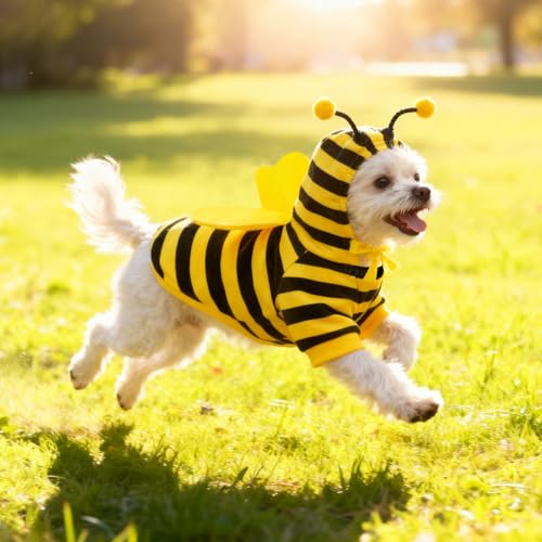 Disfraz de Abeja para Mascotas Idepet X-Small miniatura 2