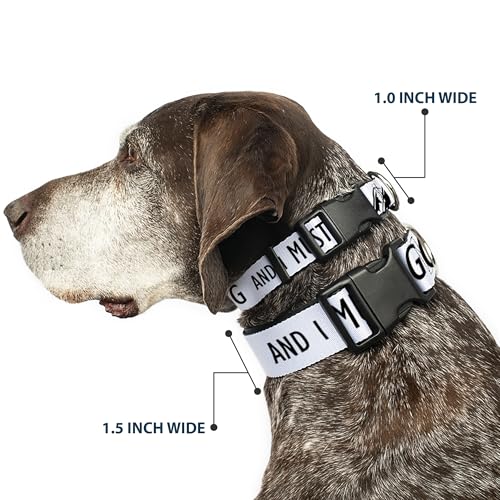 Collar de perro con clip anti tirones para paseos seguros en montaña 3