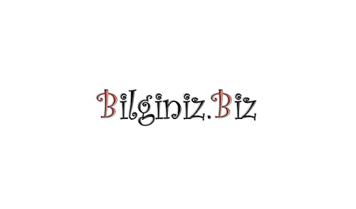 Bilginiz.Biz