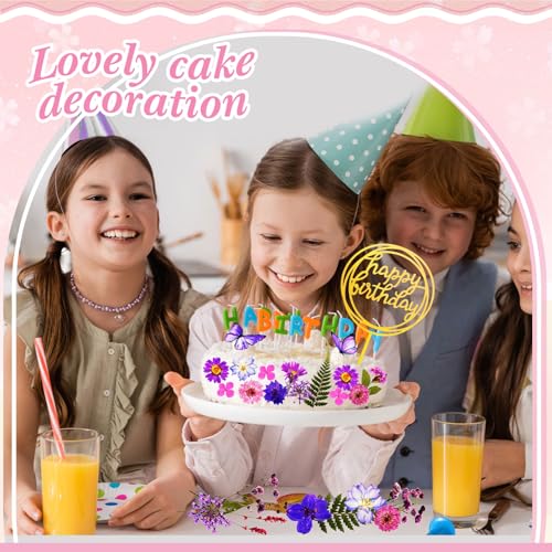 Decoración natural dried flores prensadas para torta 92 pcs miniatura 6