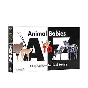 QR 英語　子供　本 JX swr46.jpg