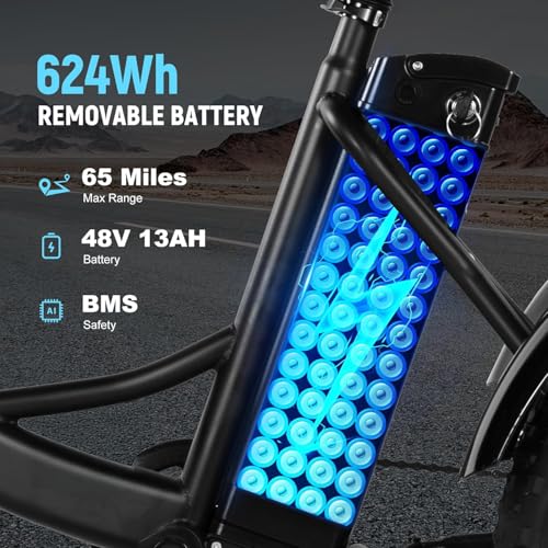 Qlife Triker Plus Electric Trike for Adults, Peak 1200W