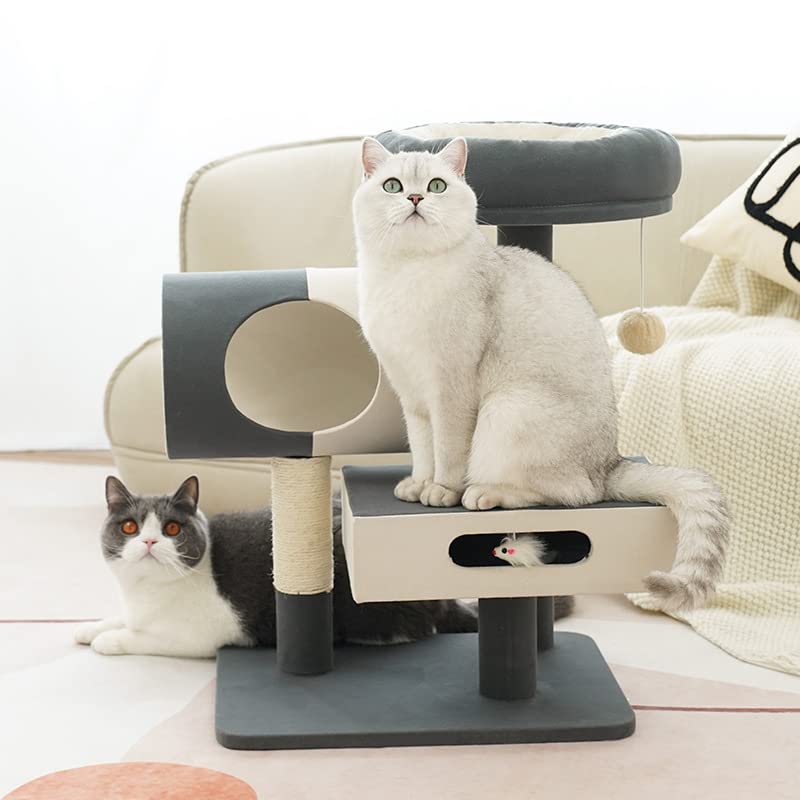 Centro de Actividades para Gatos Marco de Escalada for Gatos, Arena for, árbol for, un Juguete for, Tabla for rascar sisal, pequeña Columna for, Marco for Villa Cat