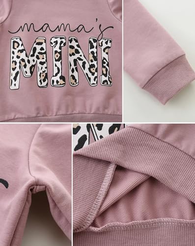 Toddler Baby Girl Clothes Long Sleeve Crewneck Sweatshirt with Pants Spring Fall Winter Outfits4