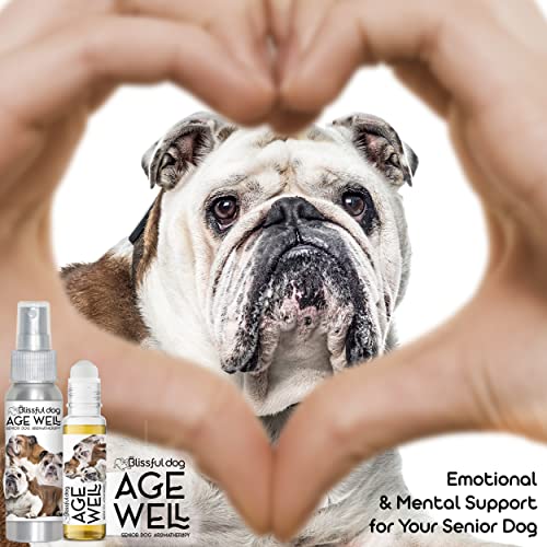 Image of The Blissful Dog Bulldog Age Well Dog Aromatherapy