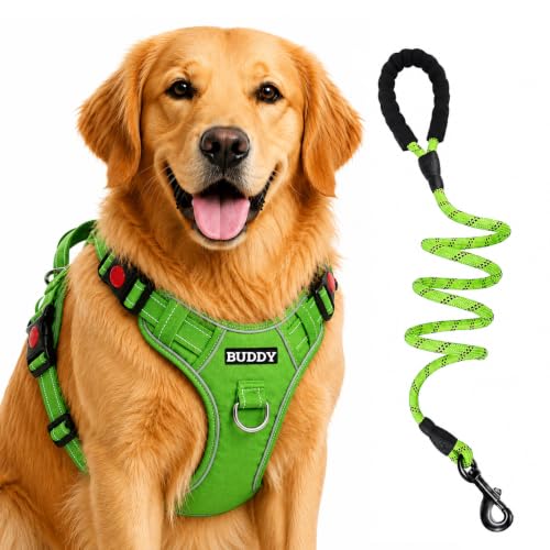 Image of Dog Harness for Extra Large Dogs | No Pull, Adjustable, Reflective, Harness Leash Combo for 35+ Kg Pets (Green, Extra-Large)