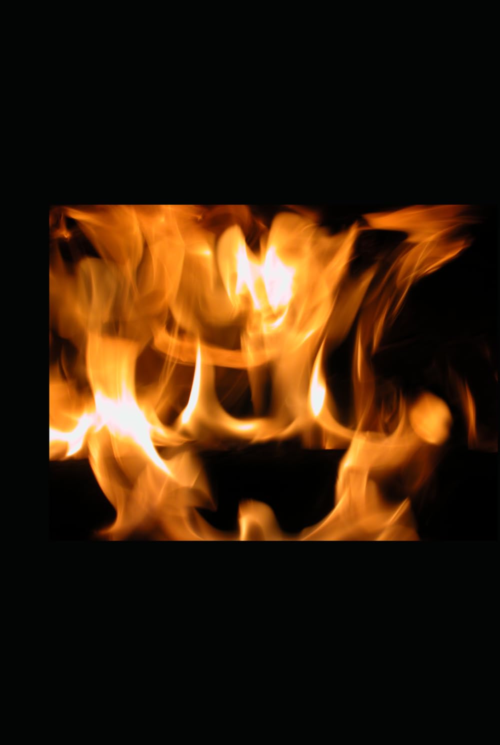 What The Fire Didn't Take: Breaking The Chain, Reclaiming My Voice