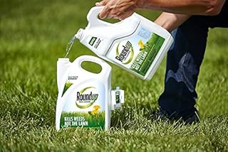Roundup for Lawns1 Refill (Northern), 1.25 gal. - Lawn Safe Weed Killer for Northern Lawns - Kills Crabgrass, Dandelion, Clover and Yellow Nutsedge - Kills Weeds, Not The Lawn