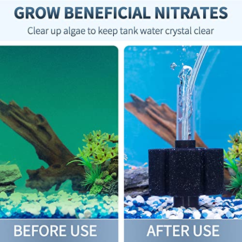 Pawfly Aquarium Bio Sponge Filter Quiet Betta Fry Shrimp And Small Fish Foam Filter For Fish Tank Up To 30 Gallons, 3 Pack #TOP1