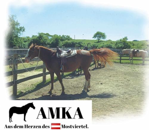 AMKA Pony Westernsattel Pink 12 Zoll 0 25 cm Conchos als Verzierung