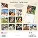 Australian Cattle Dogs | 2026 12 x 24 Inch (Hanging) Monthly Square Wall Calendar | Plastic-Free | BrownTrout | Animals Dog Breeds