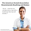Amazon Basics Soft Electric Toothbrushes for Adults, Pulsating Deep Cleaning, Plaque Removal, Sensitive Gums, Battery Powered, Soft Bristles, 2 Count, Assorted Colors