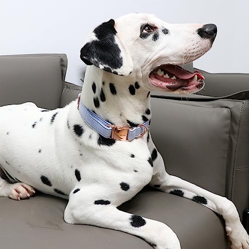Unique Style Paws Hundehalsband Halsband Verstellbare Halsbänder oder Hundeleinen für Hunde und Katzen Klein Mittelgroß Groß