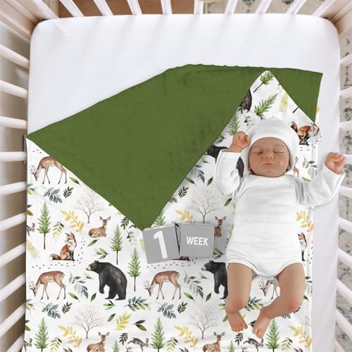 Image of HawSkgFub Forest Woods Animal Friends Mink Baby Blankets Dotted Backing Boy Girl Shower Gift, Bear Deer Fox Rabbit Double Layer Nursery Swaddle, Soft Newborn Infant Toddler Bed Crib Bedding 30 x 40