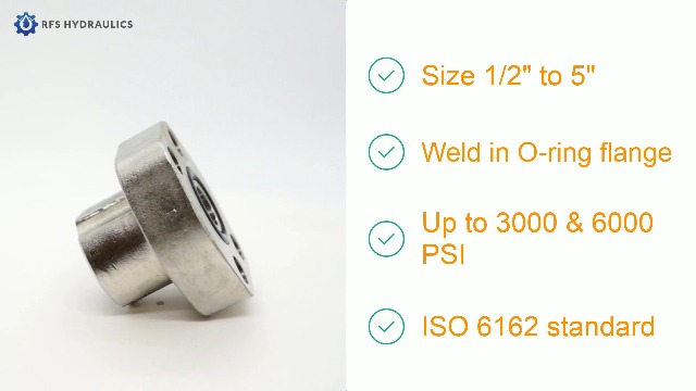 Specifications of SS316 SAE FLANGE SOCKET WELD ORING SIDE on Amazon Live