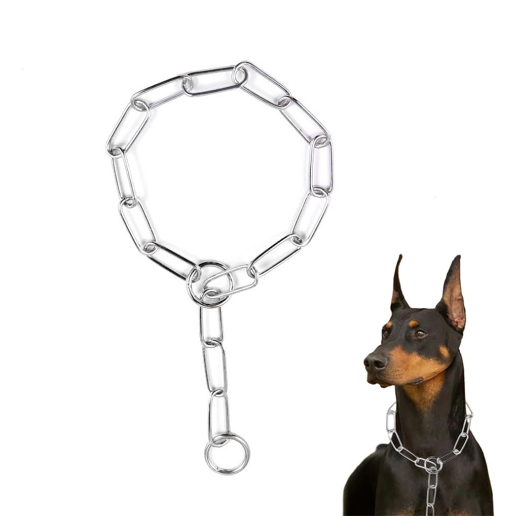 Choke Collar for Dogs,Chain Dog Collar Metal Training Slip P Link Martingale Collars Puppy Choke Chains for Small Medium Large Breed Dog, Silver L