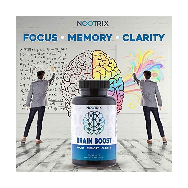 Brain-Boost-by-Nootrix-2-Pack-120-Capsules-Premium-Nootropic-Supplement-Improves-Cognitive-Function-Memory-Enhances-Focus-Boosts-Concentration-Provides-Clarity-for-Men-and-Woman Nootrix Brain Boost - Premium Nootropic Brain Support Supplement | Supports Memory, Focus, Concentration & Clarity Formula | DMAE, Ginkgo Biloba, Bacopa Monnieri(120 Count - Pack of 2)