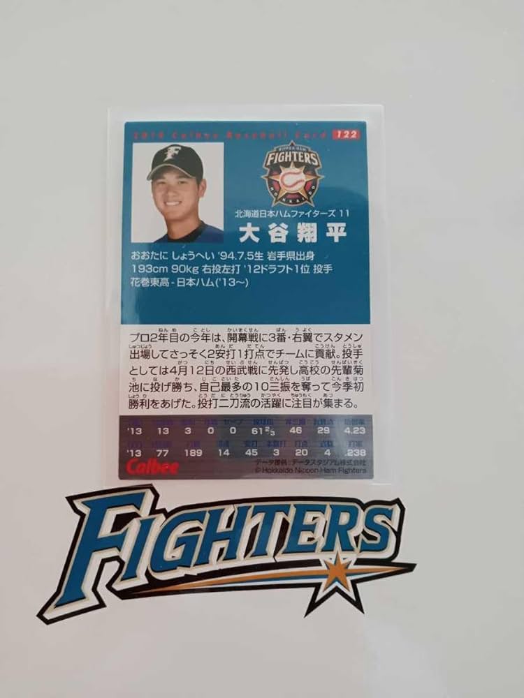 Amazon.co.jp: NPBカルビープロ野球チップス 2014年第2弾 レギュラー