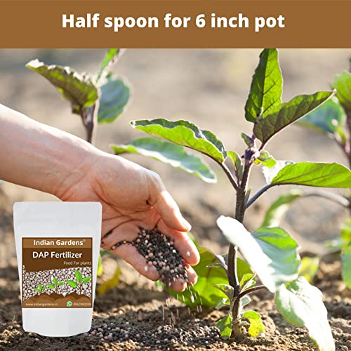 Image of Indian Gardens Dap Fertilizer for Plants | Plant Nutrient and Plant Food | All Plants | Gardening - 0.5 Kg