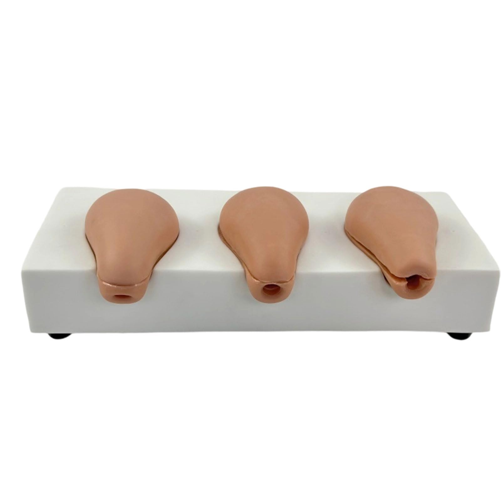 Kit professionale per anatomia uterina, strumento di texture in PVC per lo sviluppo delle abilità chirurgiche, strumenti di allenamento ginecologici