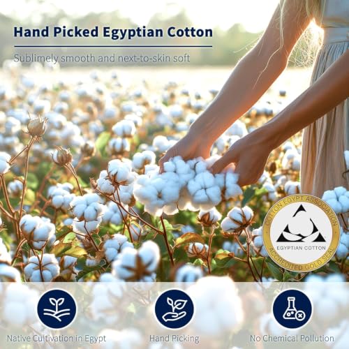 Shilucheng 100% Egyptian Cotton Queen Size Sheets Set (Black, Queen) - image 6