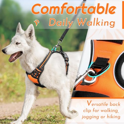Image of Eagloo Dog Harness for Medium Sized Dogs, No Pull Vest with 2 Leash Clips