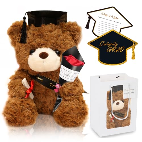 TZQFROCE Conjunto de Osos de Peluche para Graduación Regalo para Examen Oso de Graduación Regalo para Examen Regalo para Niñas Niños Graduación Felicitación Escuela Regalo (Set Marrón)