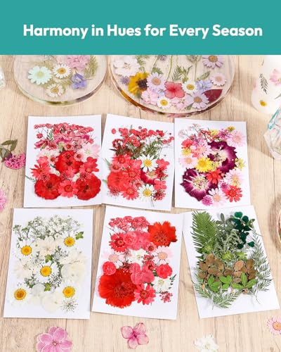 Image of Dried Flowers, Resiners 174Pcs Pressed Flowers for Craft Red Real Natural Dried Flowers Dry Leaves Kit for DIY Making Crafts Resin Soap Candle Scrapbook Supplies Card Making Jewelry