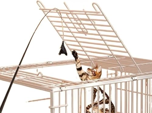 Scifimp GN[WAlRpP[W ܂݉\ LƒΉ Eoh~ e Kđ hAt p Ր O\Eoh~hA \S [֗ t[EgCfUC lRZEগVY@\p Lƒ ybgCt