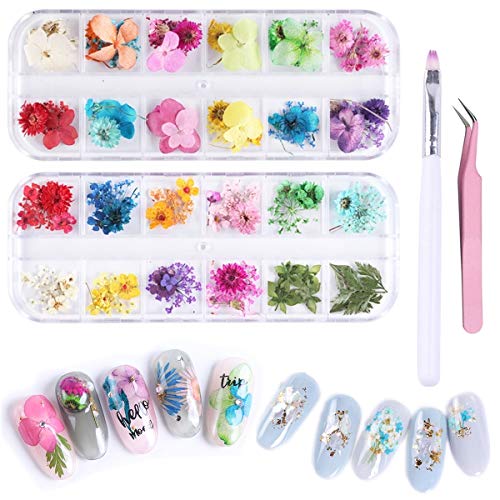 Umillars 2 Boxes Nail Natural Real Dried Flowers Flower Kit - Five Flowers Starry Flowers Leaf Daisy 3D Nails Decal Preserved Manicure Flowers Stickers (2boxes/108pcs)