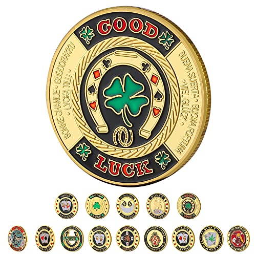 LuluCircle Poker Guard, Weights for Poker, Poker Gifts for Men, Poker Card Protector, Poker Accessories, Poker Chips with Plastic Case (Double Luck)