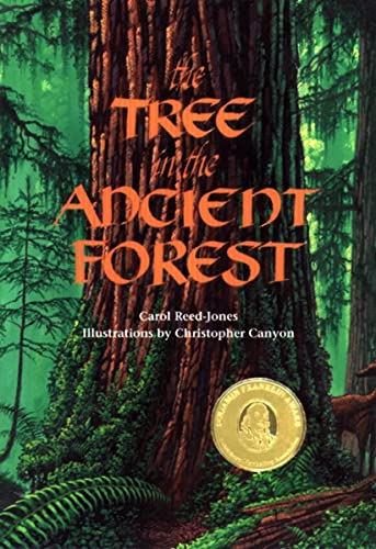 The Tree in the Ancient Forest