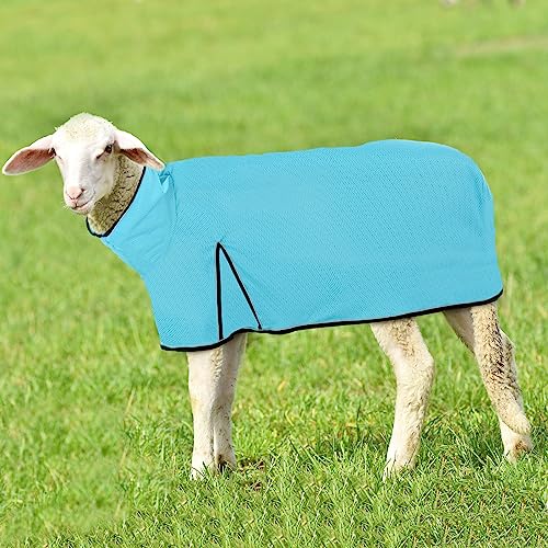 Image of Silkfly 2 Pcs Sheep Blanket Mesh Medium Goat Blanket with Mesh Butt and Adjustable Belly Strap Fits Lambs 110-140 Lbs for Show Lambs, Offers Effective Protection from Fly Bites (Blue)