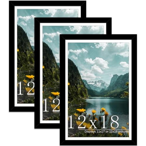 Image of Picrit 12x18 Black Poster Frame, Picture Frame for Wall, 3 Pack