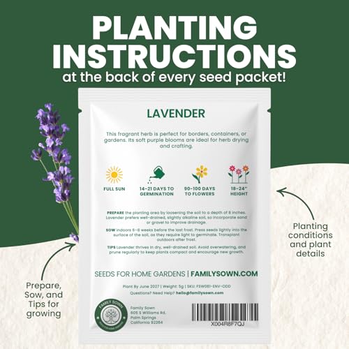 Lavender – 5,000 Seeds for Planting – 2026 Season – 5 Gram Pouch - Image 4