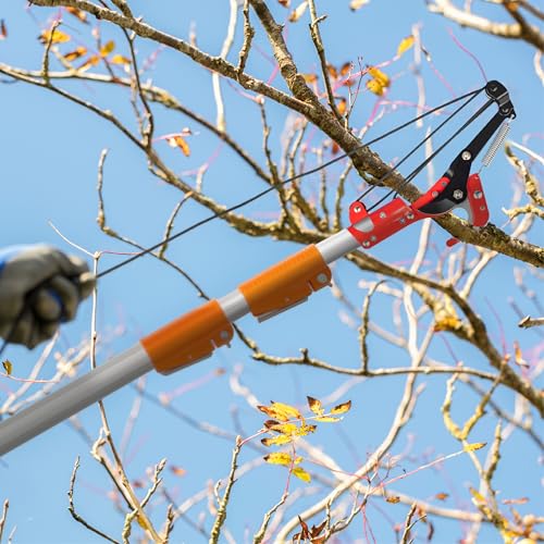 Image of VINGLI 12ft Manual Pole Saws, Extendable Tree Trimmers Long Handle Pruner, 2Pcs Sharp Blade and Scissors, Long Tree Pruner with 2-section for Pruning Palms and Shrubs