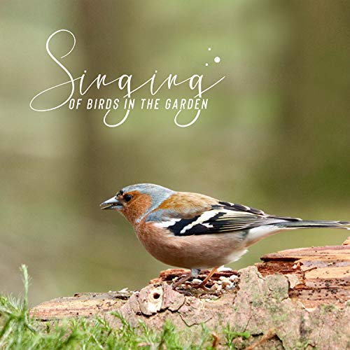 Singing Birds Zone & Bird Song Group